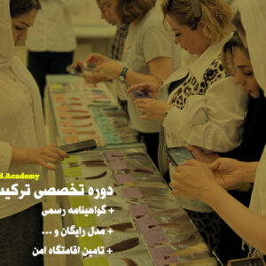 دوره آموزشی ترکیب رنگ مو