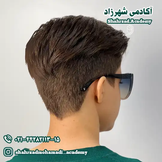 مدل پیکسی دیسکانکت یا پیکسی غیر متصل