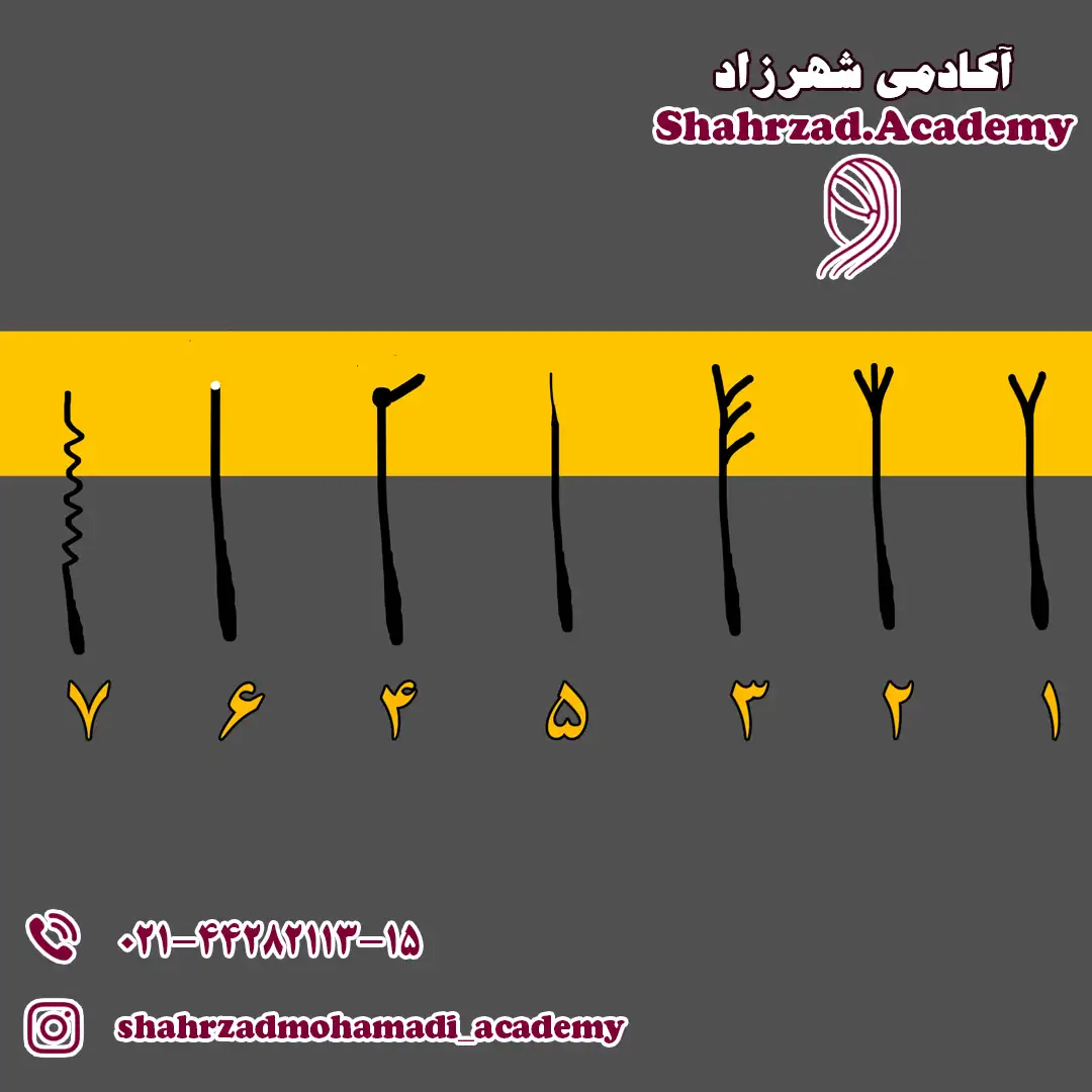 معرفی انواع موخوره و روش‌های مراقبت از مو